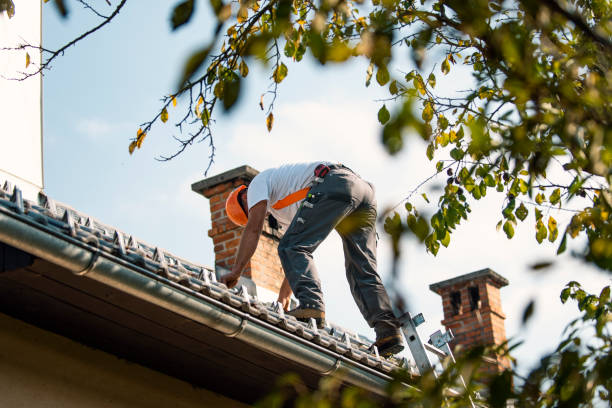 Professional Roofing Contractor in Winfield, TN