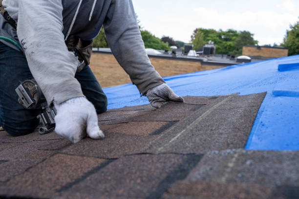 Best Roof Gutter Cleaning  in Winfield, TN