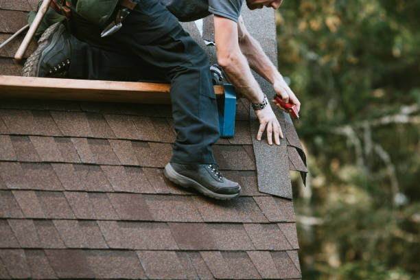 Best New Roof Installation  in Winfield, TN
